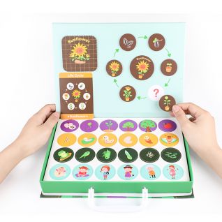 Educational Toy